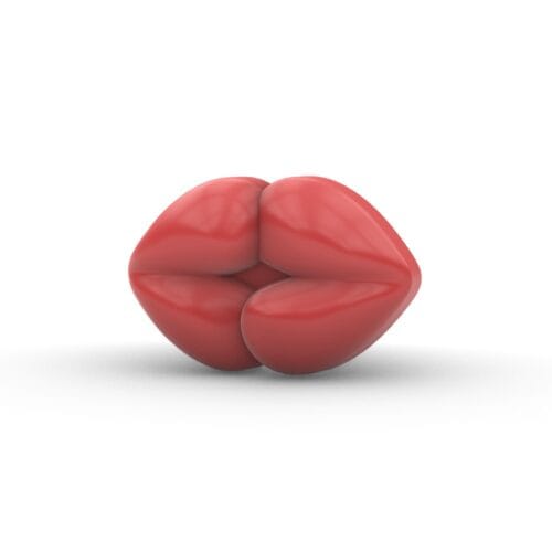 Moule thermoformé Bouche illDESIGN France