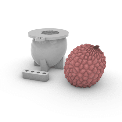 Moule litchi PG illDESIGN France