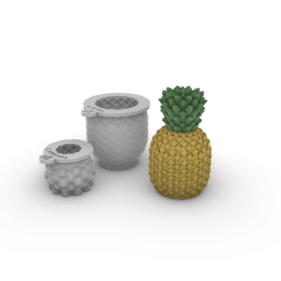 Moule ananas pg illDESIGN France